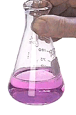 Titration Experiment